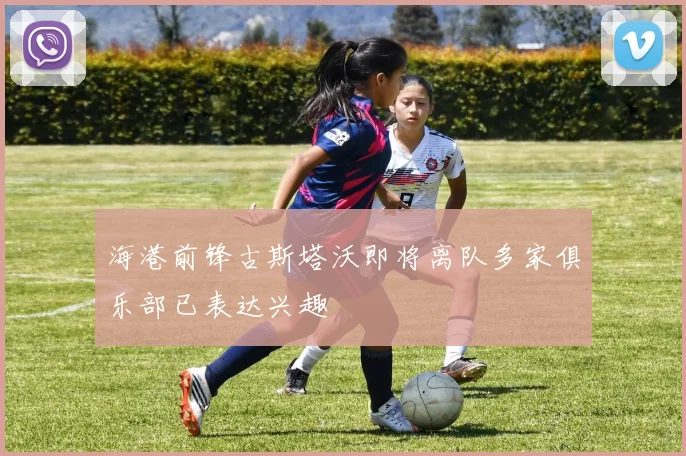 海港前锋古斯塔沃即将离队多家俱乐部已表达兴趣