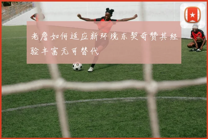 老詹如何适应新环境东契奇赞其经验丰富无可替代