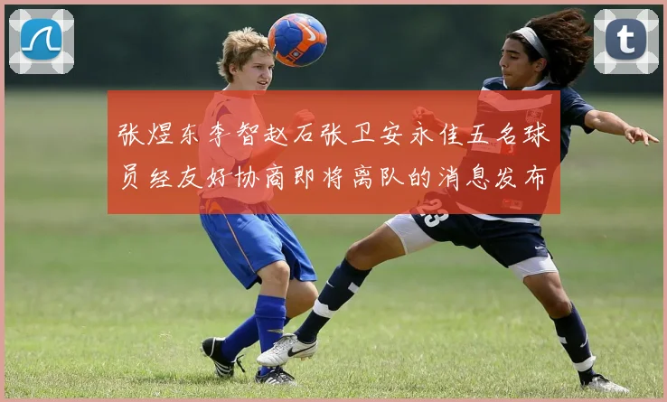 张煜东李智赵石张卫安永佳五名球员经友好协商即将离队的消息发布