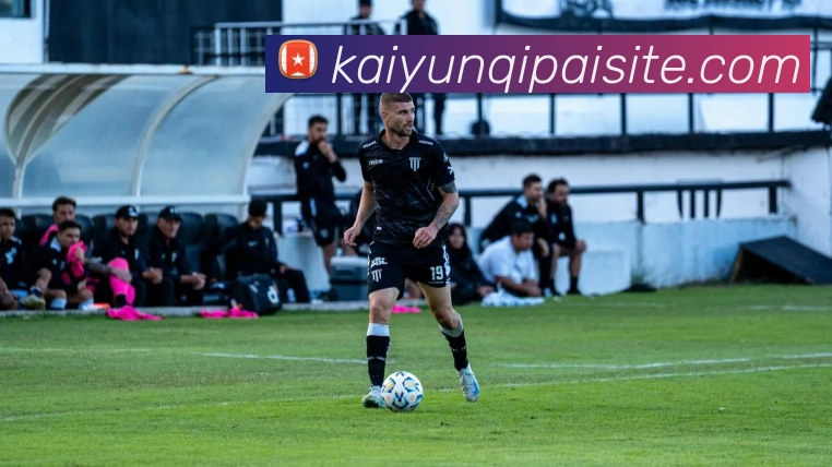 开云棋牌平台生态图